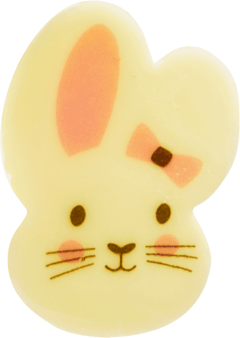 Cartoon Bunny