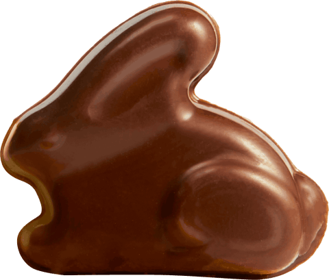 Little Bunny