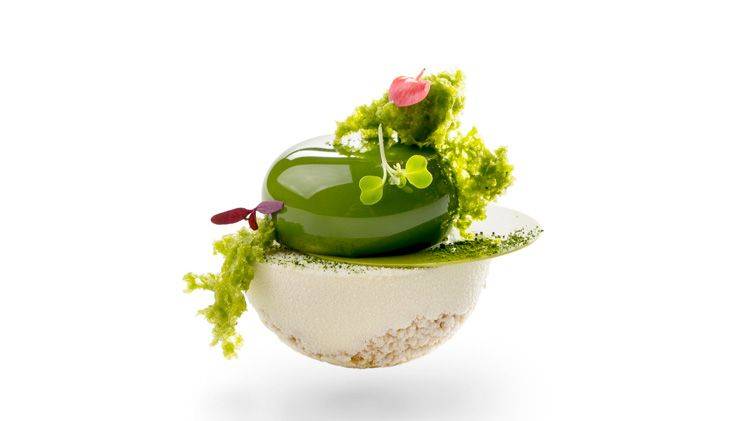 Nouvelle forêt verte