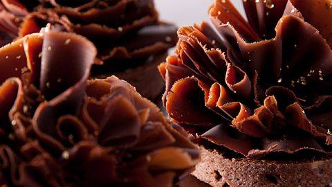 Tartelette Chocolat-Citron