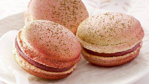 Zéphyr™ Matcha Tea and Morello Cherry Macaron
