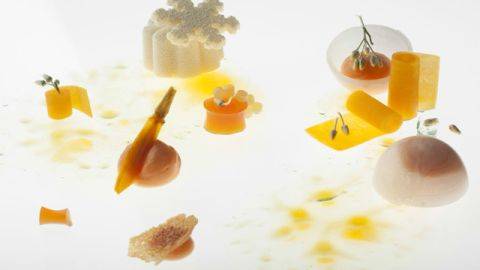 Carrot, pumpkin, mascarpone and blood orange