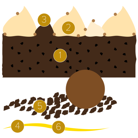Brownie, pumpkin and vanilla