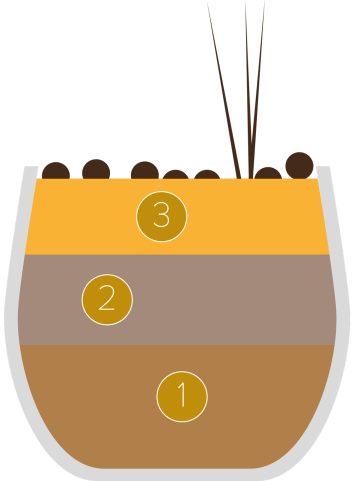 Mango and chocolate summer delight