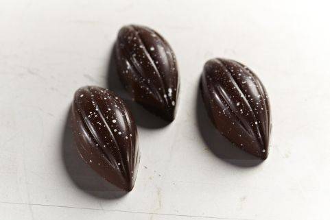 Schnitt Praline Edelweiss mit Dark Grenada 70%