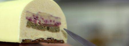 White chocolate yule log