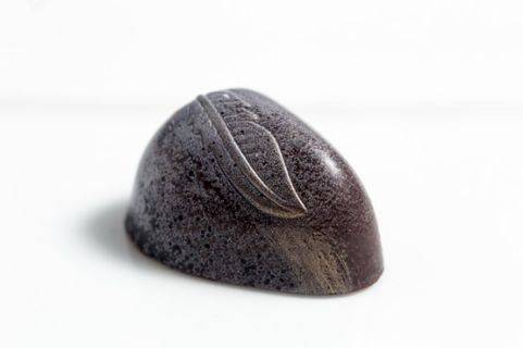 Fossil Age