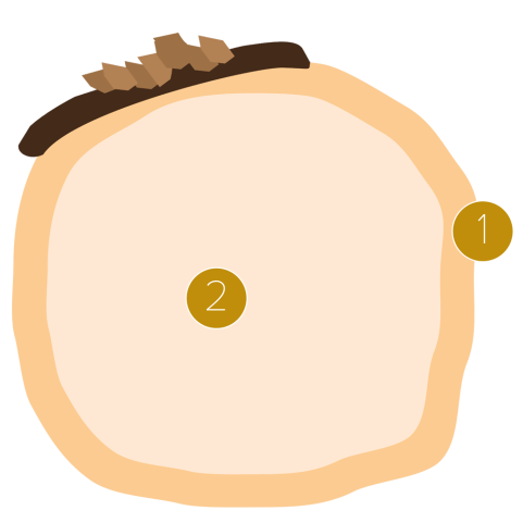 Profiteroles